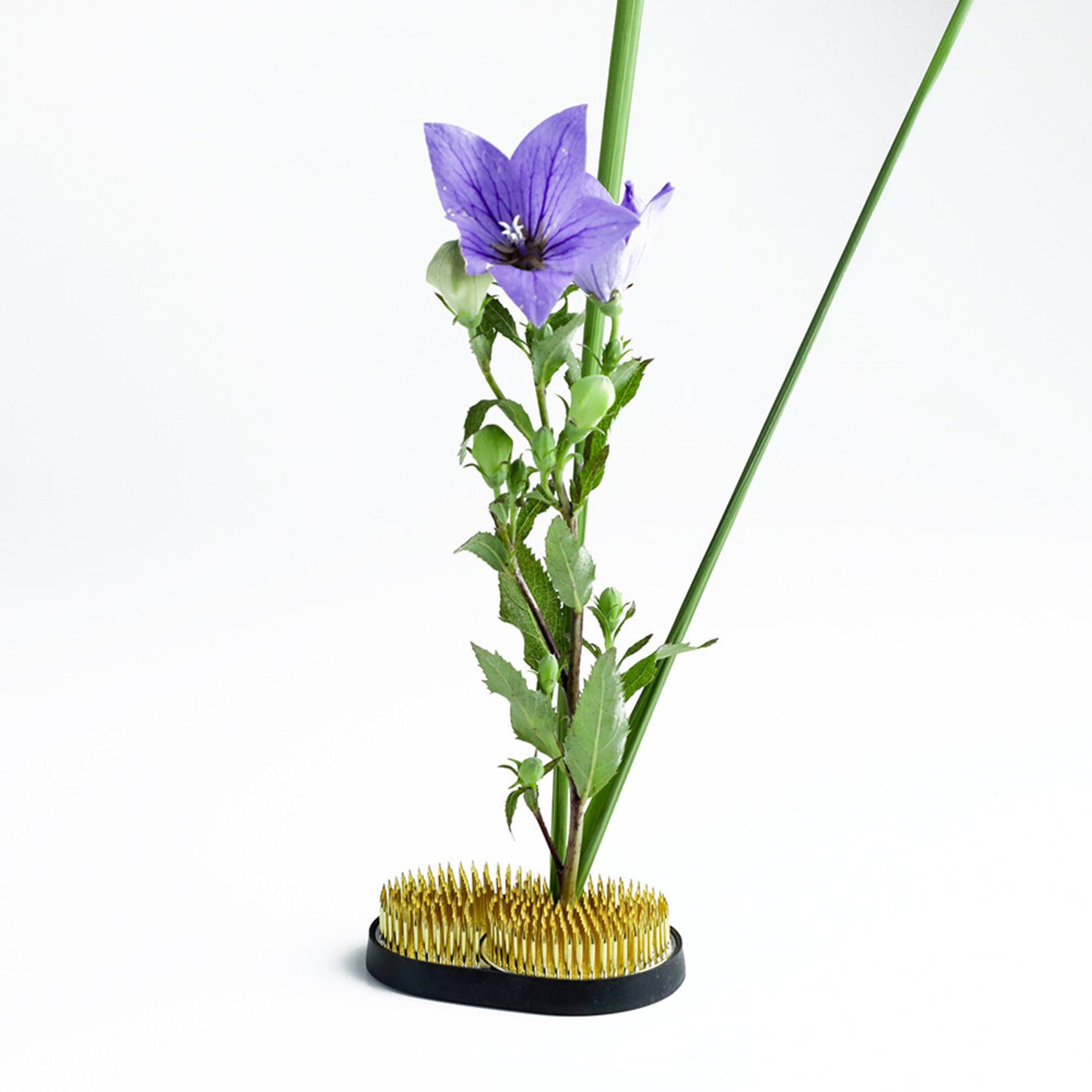 Wazakura 3pcs Japanese Ikebana Essential Tool Set Made In Japan, Floral Arrangement Kit [ Ikenobo Scissors + Sun And Moon Kenzan Flower Pin Holder