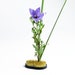 Wazakura 3pcs Japanese Ikebana Essential Tool Set Made In Japan, Floral Arrangement Kit [ Ikenobo Scissors + Sun And Moon Kenzan Flower Pin Holder