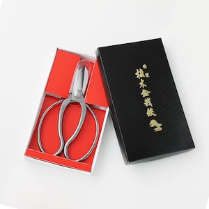 Wazakura Ikebana Scissors MADE IN JAPAN, Flower Arrangement Tools, Stainless Steel, Koryu Style Kado Japanese Hasami Shears