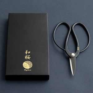 Ciseaux à bonsaï en acier Wazakura Yasugi, sécateur japonais fabriqué au Japon, bonsaï, traditionnel