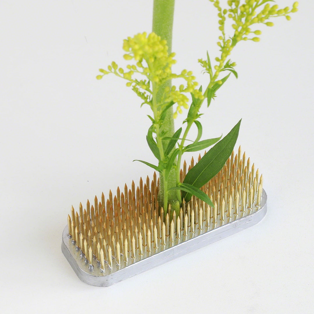 Wazakura 2pcs Japanese Ikebana Essential Tool Set Made In Japan, Floral Arrangement Kit [ Koryu Scissors + 80mm Round Brass Kenzan