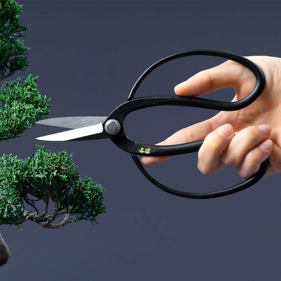 Wazakura Yasugi Steel Made in Japan Traditional Bonsai Scissors 7