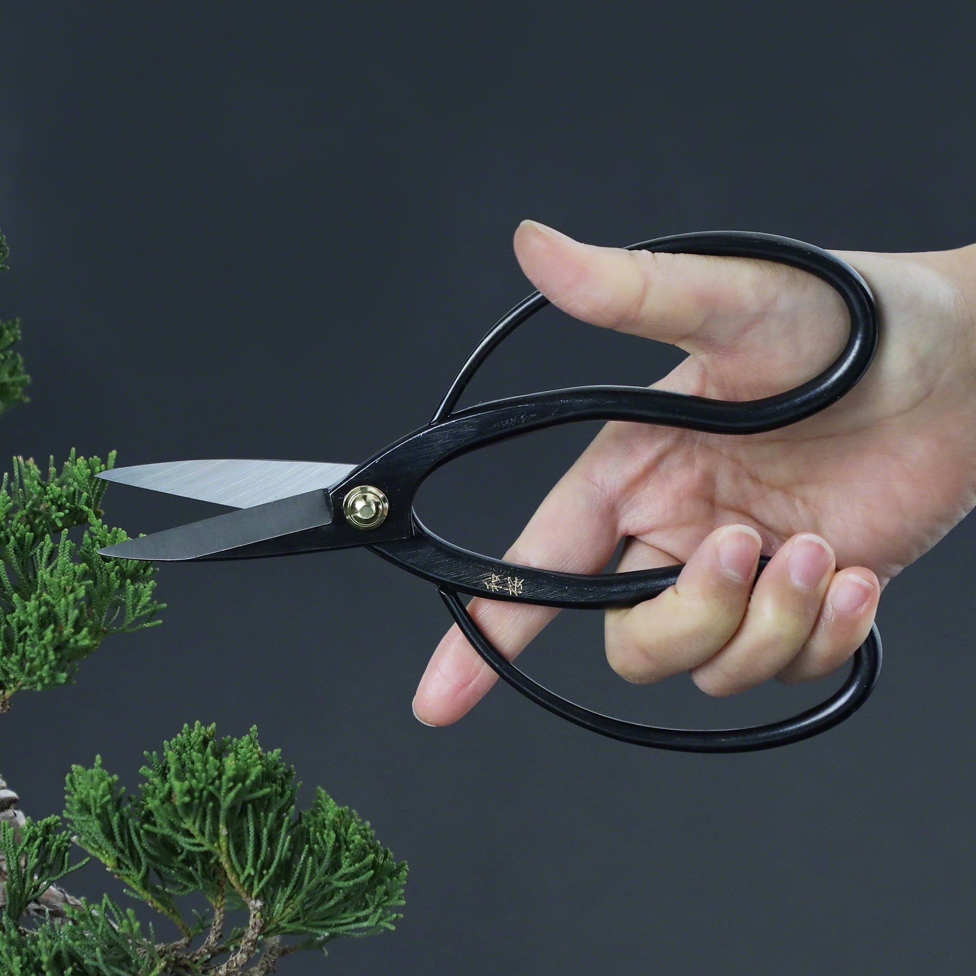 Wazakura Premium Series Bonsai Scissors 7 in 180 mm Made in Etsy