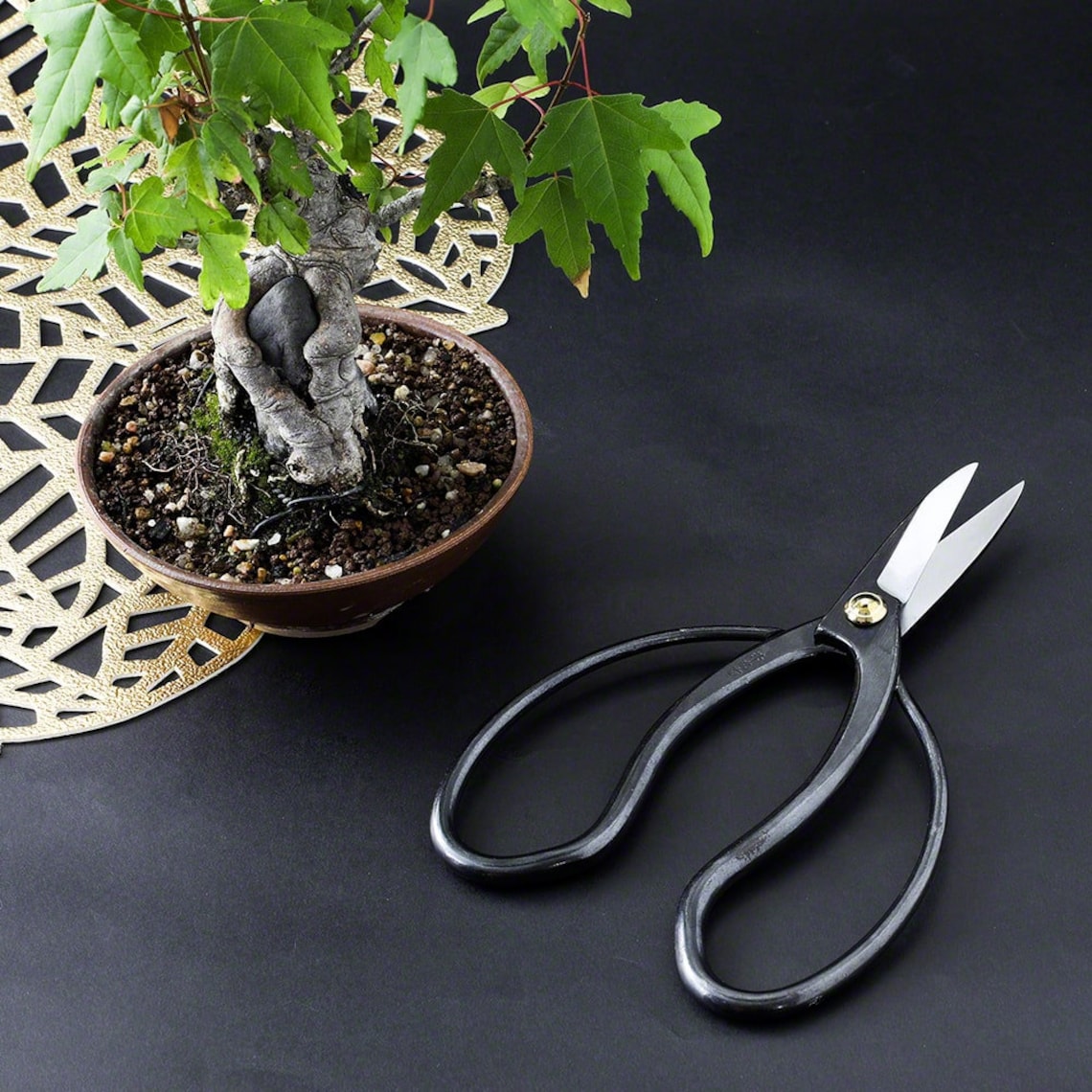 Wazakura Traditional Bonsai Scissors MADE IN JAPAN 7 Etsy