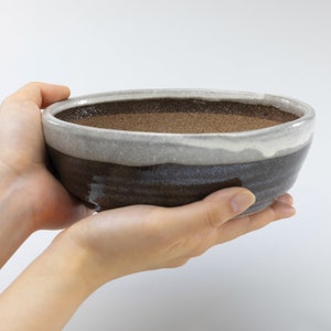 Wazakura Shigaraki Series Stripe Glazed Bonsai Pot with Drainage, 6.6 in (170 mm) Made in Japan Flower Planter