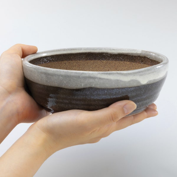 Wazakura Shigaraki Series Stripe Glazed Bonsai Pot with Drainage, 6.6 in (170 mm) Made in Japan Flower Planter