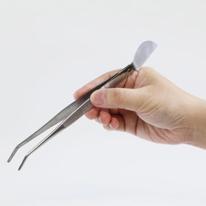 Wazakura Bonsai Curved Tip Tweezer with Spatula 8.25 in (210 mm) MADE IN JAPAN , Stainless Steel, Multipurpose Japanese Gardening Tools