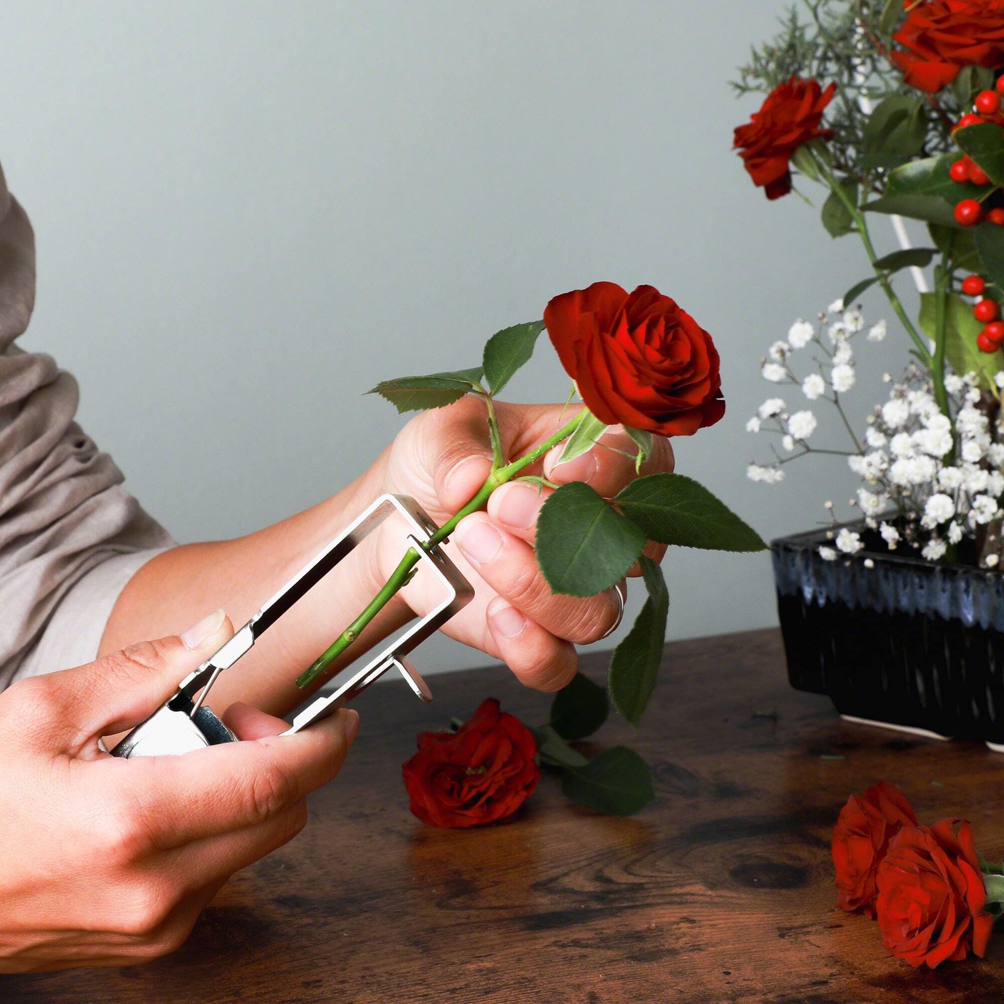 2-Pack Rose Thorn Remover & Leaf Stripper Tool - Professional Florist Tool For Safe Flower Stem Prep, Garden & Bouquet Making - View #7