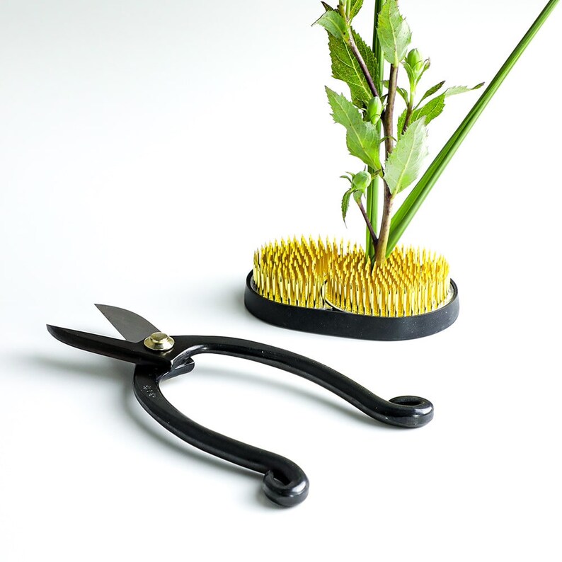 Wazakura Ikebana Schere – Japanische Blumenarrangement-Schere Aus Yasugi-Stahl, 16,5 Cm, Made In Japan