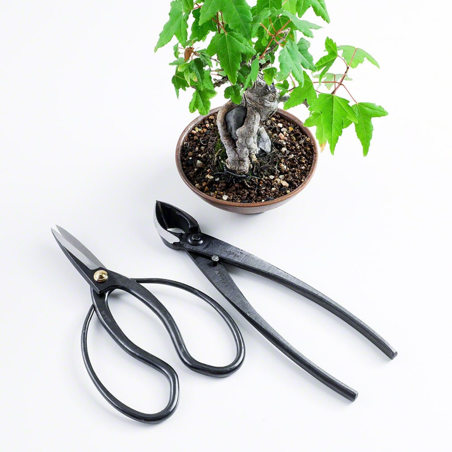 Wazakura 2PCS Japanese Bonsai Essential Tool Set MADE IN Etsy