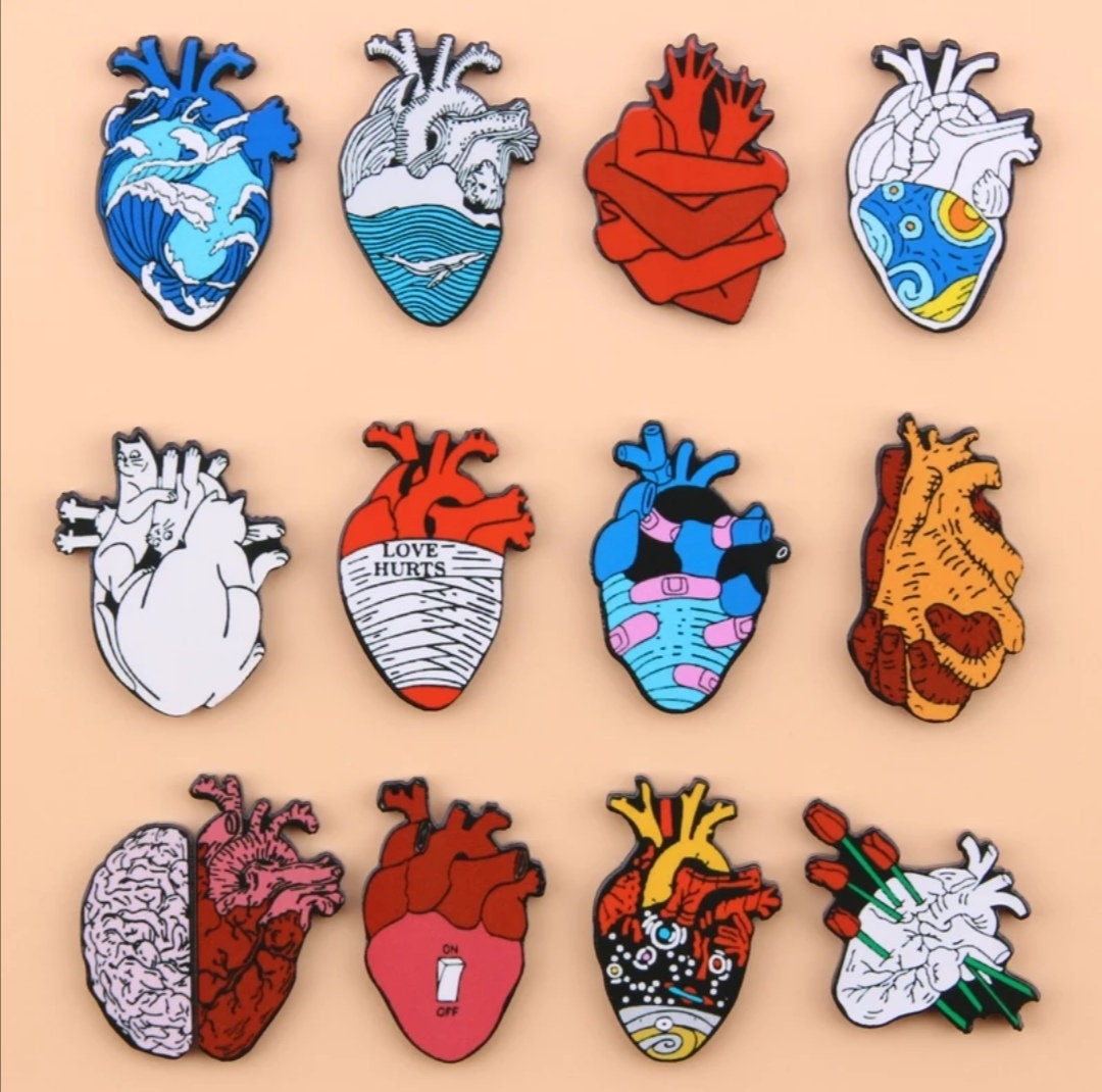 Pin On Pics Of Anatomy vrogue.co