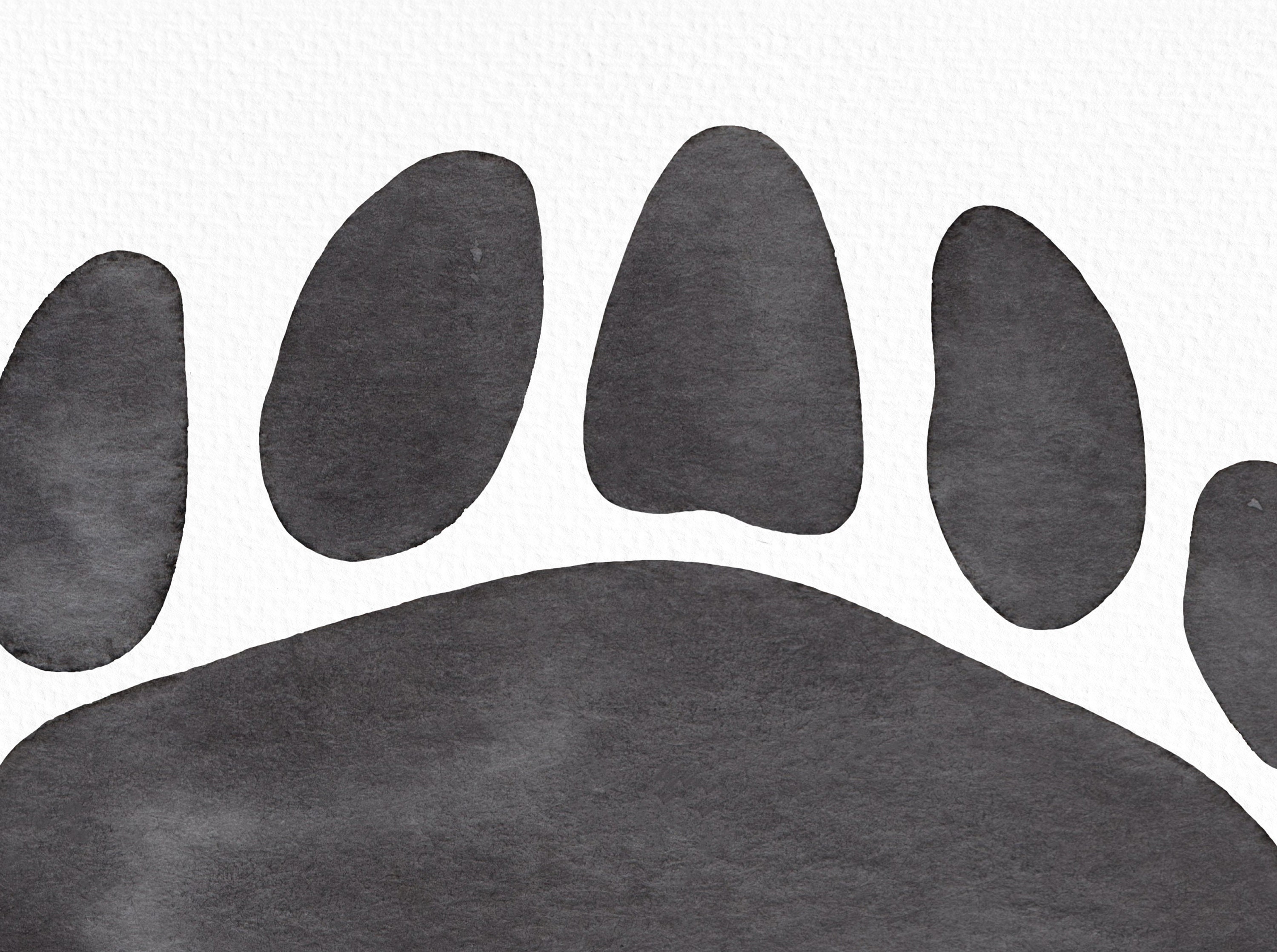Watercolor Bear Paw Clipart, Black Bear Paw Print PNG - Etsy