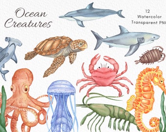 Watercolor Ocean Clipart, Sea Life Clipart, Octopus, Sea Turtle