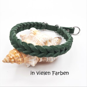 Op de afbeelding: Een donkergroene gevlochten leren hondenhalsband met zilveren metalen hardware. De halsband is afgebeeld op een schelp.