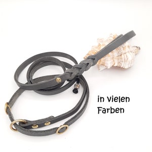 Könnte beinhalten: Eine graue Lederhundeleine mit geflochtenem Design und Messingbeschlägen. Die Leine ist aufgerollt und hat eine kleine Muschel daneben. Der Text "in vielen Farben" ist im Bild sichtbar.