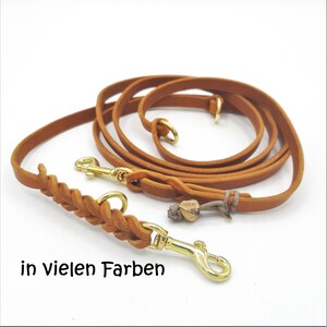 Pode incluir: Uma trela de cão de couro castanho com uma secção trançada e dois fechos de metal dourado. O texto "in vielen Farben" é visível na imagem.