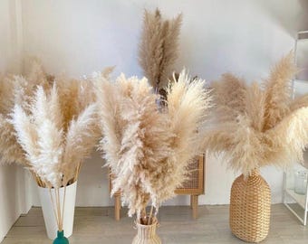 Natural fluffy dried pampas grass 115/120cm decoration