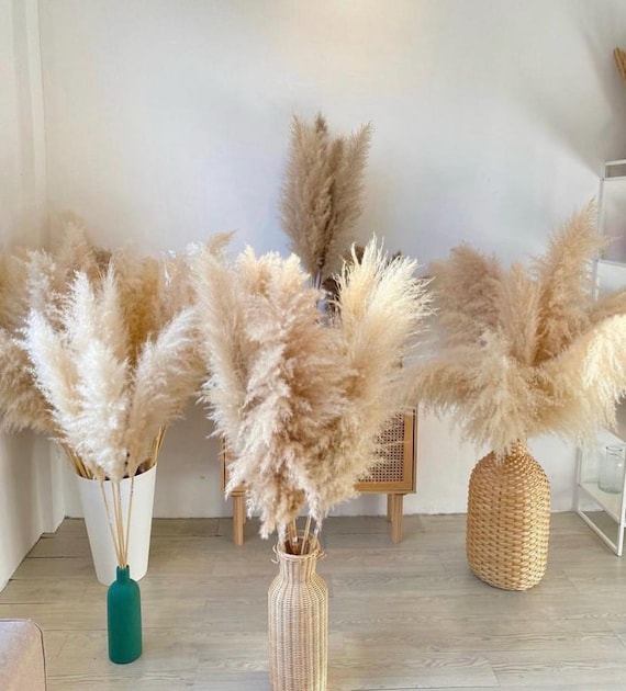 Natürliches, flauschiges, getrocknetes Pampasgras, 115/120 cm, Dekoration