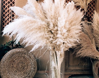 Pampas touffues fluffy 115/120cm