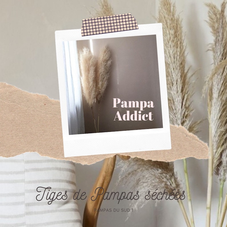 May include: A close-up of dried pampas grass stems in a white frame with the text "Pampa Addict" and the caption "Tiges de Pampas s&eacute;ch&eacute;es" below the frame.