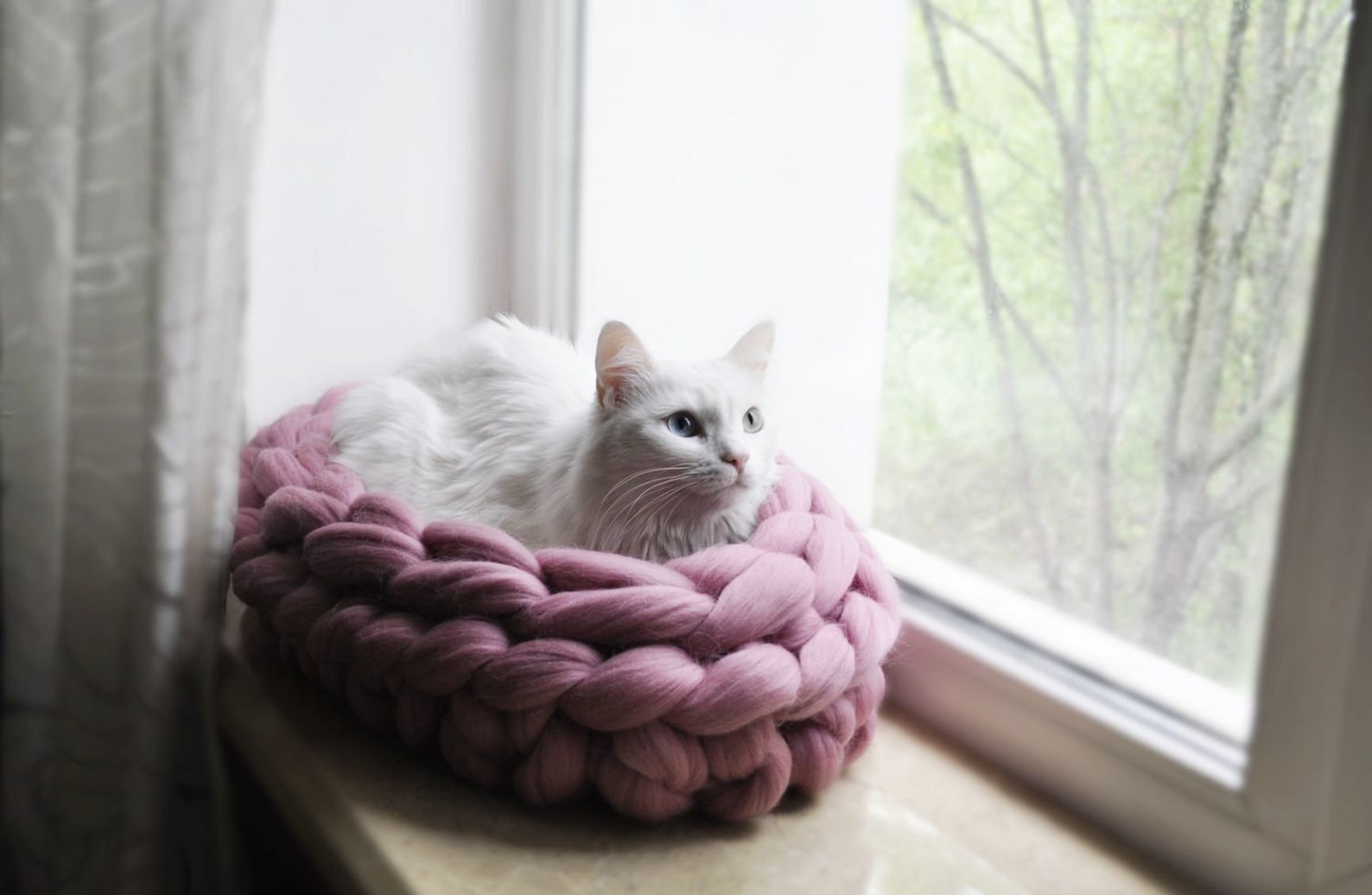 Chunky Cat Bed Merino Wool Round Pet Bed Super Giant Bulky Etsy