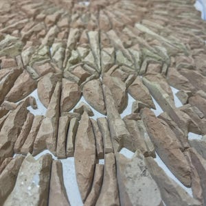 May include: A mosaic of irregularly shaped, light brown stones arranged in a radial pattern. The stones vary in size and shape, creating a textured surface. The arrangement resembles a sunburst design, with the stones radiating outwards from a central point.