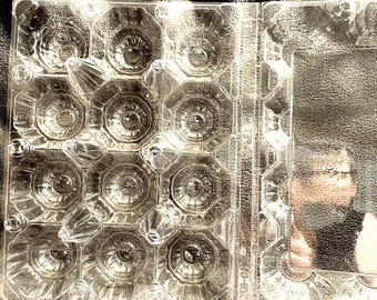 Clear Plastic Quail Egg Cartons, Reusable Storage (12-Count)