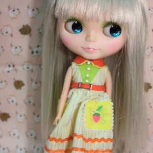 Blythe Pruik Zilver Kleur Recht Lang Haar w83