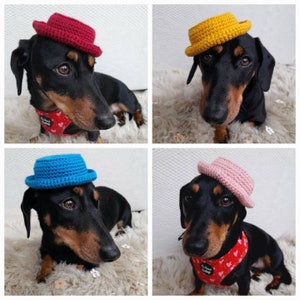 Dog Hat - Pet Party Accessories