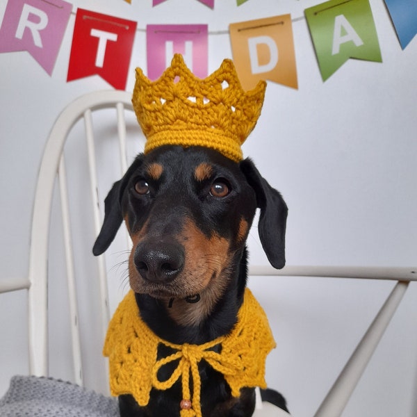 Crown and Collar set for Dog - Pet Party Set -  Dog Birthday Outfit
