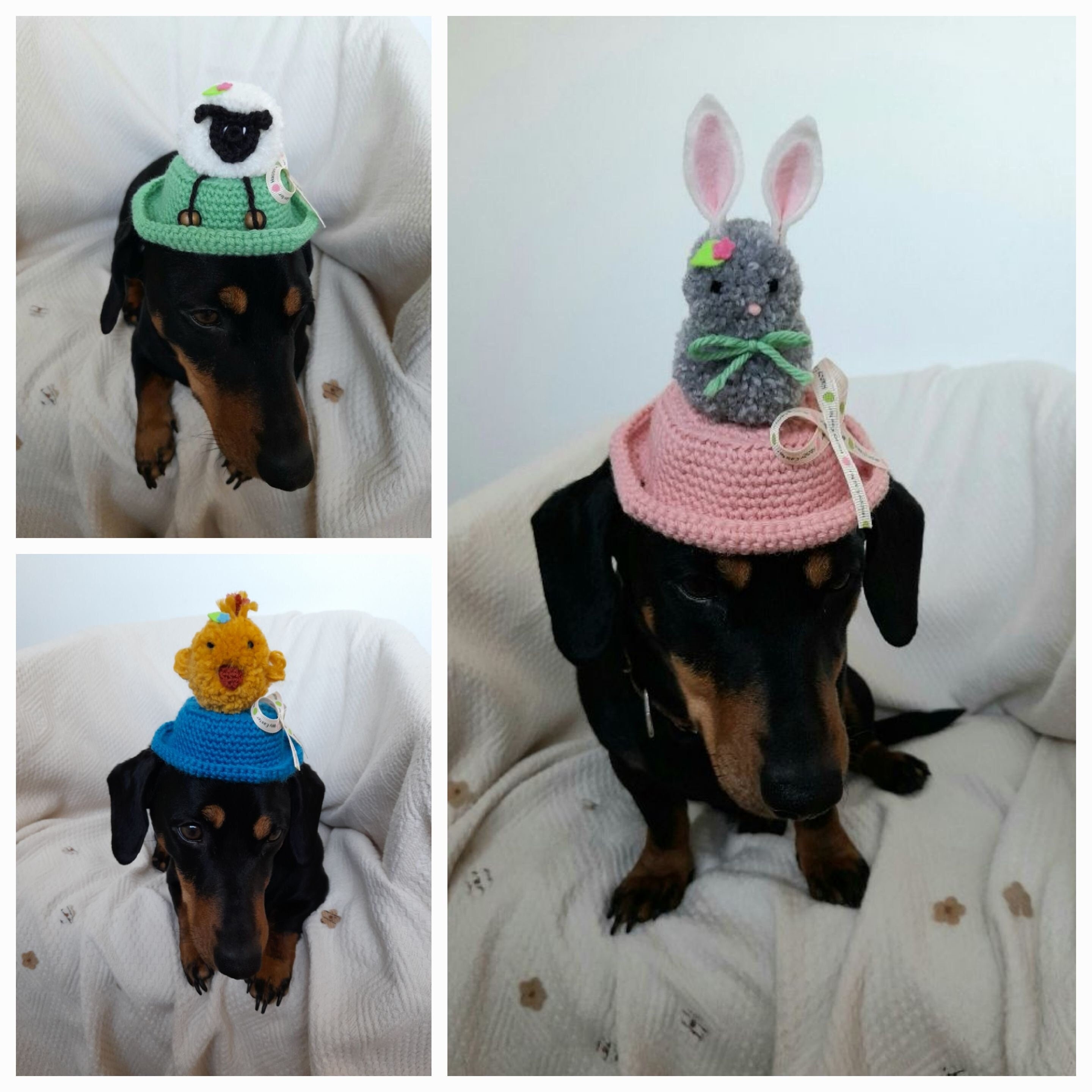 Easter bonnets for dogs outlet