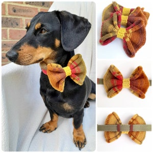 Pet Bow - Dog Collar Accessory