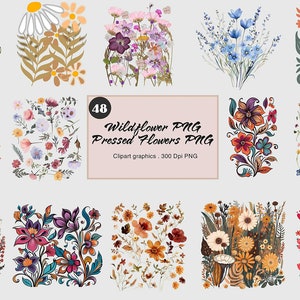 Puede incluir: Un conjunto de 48 ilustraciones digitales de flores silvestres prensadas. Las im&aacute;genes est&aacute;n en formato PNG y tienen una resoluci&oacute;n de 300 DPI. Las flores son de varios colores, incluyendo rosa, morado, azul, amarillo y naranja.