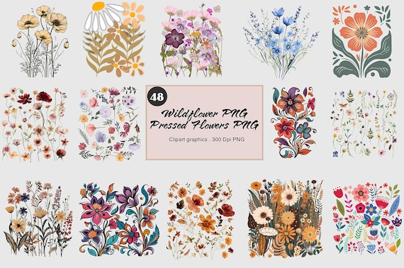 48 Wildflower PNG, Wildflower clipart, Wildflower bundle, Wildflower frame, Flower Png, Boho Floral, Vintage Cottagecore, Pressed Flowers