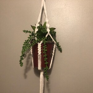 May include: A white macrame plant hanger with a green succulent plant in a brown pot.