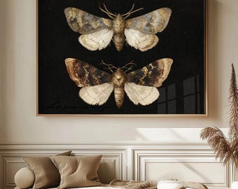 Moody Moth Insect Art Digital Download, Dark Entomology Wall Print, Vintage Natural History Decor, Fine Art Butterfly Poster