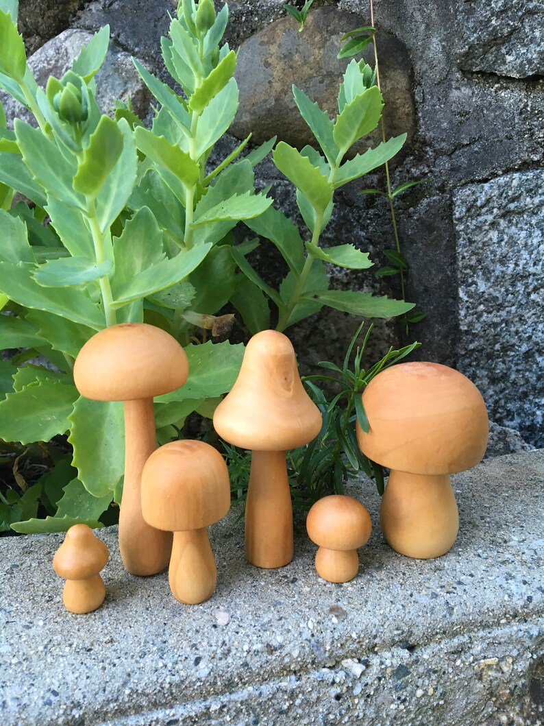 May include: Six wooden mushroom figurines of varying sizes, with natural wood tones, arranged on a gray concrete surface.