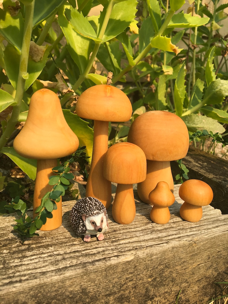 May include: A set of six wooden mushroom figurines in various sizes, ranging from small to large. The mushrooms are painted in a light brown color and have a smooth, polished finish. A small, white hedgehog figurine is sitting in front of the mushrooms.