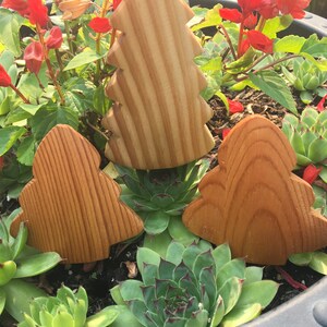 May include: Three wooden Christmas tree decorations in shades of brown. The trees are set amongst green succulents and red flowers in a dark grey pot. The wood grain is visible on the trees.