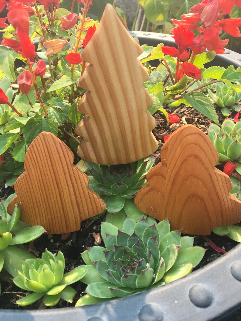 May include: Three wooden Christmas tree decorations in shades of brown. The trees are set amongst green succulents and red flowers in a dark grey pot. The wood grain is visible on the trees.