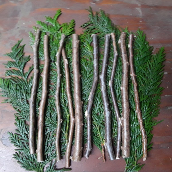 Western Red Cedar Sticks - Great for Crafting, model trains, decor (10 pcs at 6", 10", 12", or 16")