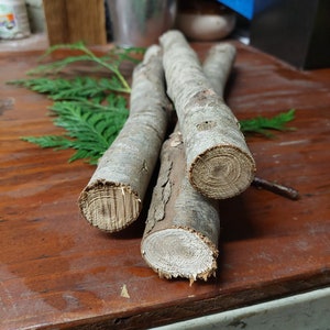 Large Cedar Wood Sticks (1.25&quot;-2&quot; diameter) 3 pcs - 12&quot; length