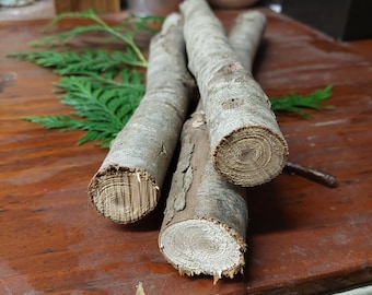 Large Cedar Wood Sticks (1.25"-2" diameter) 3 pcs - 12" length