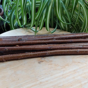 Wild Cherry Wood Sticks (10pcs) - Crafting, fairy gardens, model trains