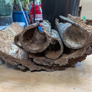 May include: A collection of natural cork bark pieces arranged together. The bark features a rough, textured brown exterior and hollow, cylindrical shapes with smooth, light brown interiors, showcasing the organic layers and rugged surface of the tree bark.