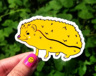Sassy Hedgehog Sticker | Waterproof Sticker, Cute Animal Decal, Mini Hedgehog Sticker, Animal Illustration, Pet Mom Art, Hedgehog Gift