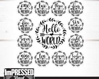 Download Baby Milestone Svg Etsy