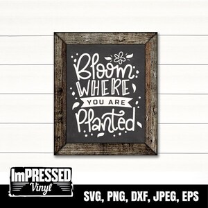Bloom Where You Are Planted SVG- Instant Download