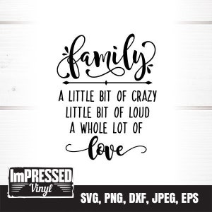 Familie Ein bisschen verrückt ein bisschen verrückt ein bisschen laut eine ganze Menge Liebe SVG - Instant Download