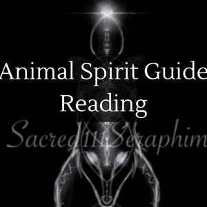 Animal Spirit Guide Psychic Reading